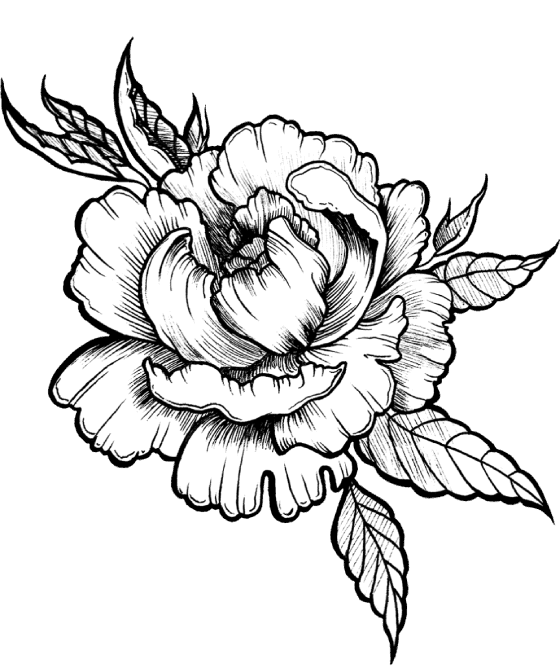 Peony